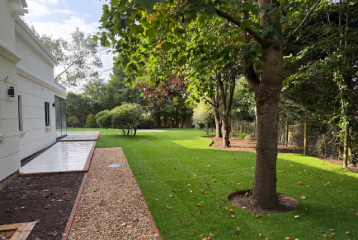 Side view of a white modern house with a narrow patio and gravel path alongside a well-kept lawn, bordered by mature trees and greenery, with dappled sunlight filtering through the leaves